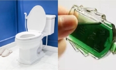 Lợi ích tuyệt vời của việc đặt dầu gió trong nhà vệ sinh