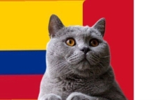 Nhận định soi kèo trận nữ Pháp-Colombia Olympic Paris, 2h ngày 26/7: Mèo tiên tri theo lẽ thường