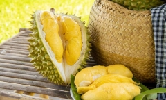 Sầu riêng ngon, bổ dưỡng nhưng