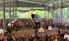 Tay trắng dựng cơ đồ, hành trình 20 năm phi thường của