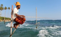 Sri Lanka: Những khó khăn đẩy thiên đường du lịch vào cảnh vỡ nợ
