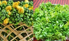 Trị mất ngủ, đau đầu với 2 món rau dân giã trong vườn