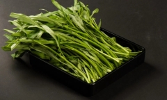 Những loại thực phẩm được nhiều người ưa thích nhưng lại dễ gây sỏi thận