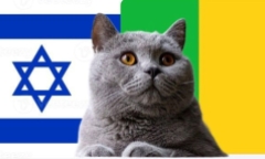 Nhận định soi kèo trận U23 Mali-U23 Israel, Olympic 2024 2h ngày 25/7: Mèo tiên tri theo số đông