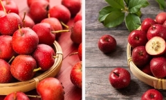 Loại quả vạn người mê, ăn nhiều lại