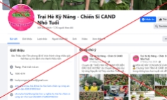 Trại hè học kỹ năng CAND ở Đà Nẵng là giả mạo