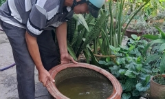 Tổn thương đa cơ quan, bệnh nhân 15 tuổi tử vong vì sốt xuất huyết