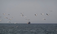 Iran tuyên bố đóng cửa eo biển Hormuz, Mỹ phát động cuộc tấn công mới