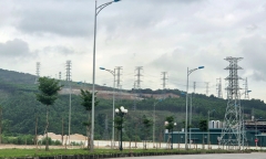 Công ty AIT bị phạt 325 triệu đồng vì phá 2,61ha rừng ở Thanh Hóa