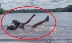 Clip: Thót tim cảnh người phụ nữ bị chuột khổng lồ cắn vào đầu khi đang bơi trong hồ