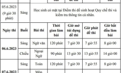 Thi vào lớp 10 TP.HCM: Nguyên nhân khiến 8 thí sinh phải nhờ cán bộ viết bài hộ?