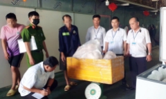 TP.HCM: Phát hiện 2 tấn thịt heo đông lạnh đã biến đổi màu sắc không rõ nguồn gốc