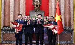 Nghị quyết về tổ chức các cơ quan của Quốc hội