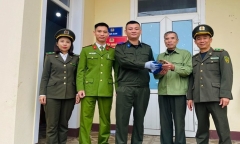 Người dân giao nộp con vật có mai vàng quý hiếm bò vào vườn nhà 