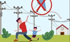 Trèo lên cột điện cao thế bắn chim, bé trai 11 tuổi bị điện giật