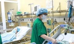 Sức khỏe cuả hai bệnh nhân được ghép thận từ người cho chết não hiện ra sao?
