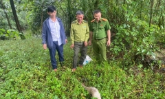 Người dân phát hiện con vật 