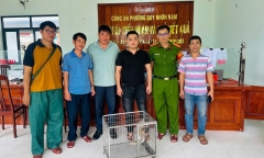 Nam thanh niên mua tê tê quý hiếm đang bị rao bán rồi mang đến công an giao nộp