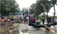 Tin thời sự mới ngày 7/9: Ứng phó bão Yagi, nhiều trường ĐH ở Hà Nội nghỉ dạy