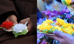 Nguồn gốc và ý nghĩa của bông hồng đỏ, trắng, vàng cài áo trong lễ Vu lan