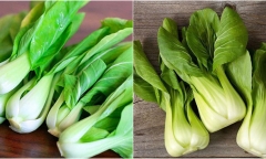 Rau cải giàu chất dinh dưỡng nhưng những người sau không nên ăn, cố tình ăn như 