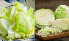 Đừng ăn bắp cải nếu bạn là 1 trong 4 nhóm người này
