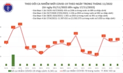 Bản tin ngày 17/11: Số ca mắc mới COVID-19 vượt mốc 500 ca ngày thứ 3 liên tiếp