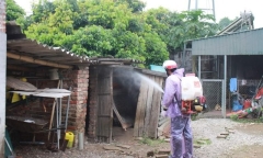 Thông tin mới nhất vụ chó dại chạy vào trường 