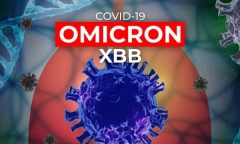  Bộ Y tế: Biến thể XBB xuất hiện tại TP.HCM và Tây Ninh