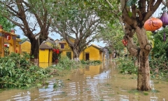 Bão và mưa lớn dồn dập vào cuối năm do ảnh hưởng của La Nina 