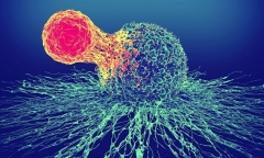 Công ty Nhất Anh xin dừng hoạt động nhập khẩu thuốc tại một địa điểm kinh doanh đã đăng ký