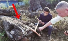 Nhặt được khúc gỗ bỏ đi, 5 năm sau mới biết là “kho báu” 66 tỷ đồng