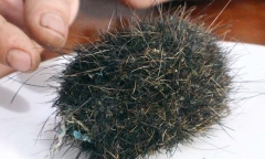 Phát hiện vật lạ nghi 