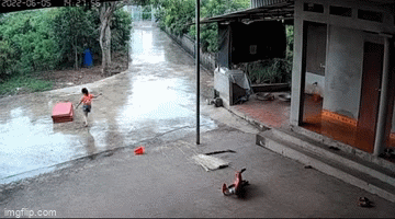 Video: Bé gái nhanh nhẹn giúp mẹ chạy mưa khiến cư dân mạng nể phục