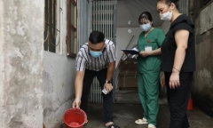 Hà Nội ghi nhận 442 ca/tuần, nguy cơ bùng phát dịch bệnh sốt xuất huyết 