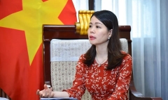 Thứ trưởng Bộ Ngoại giao Nguyễn Minh Hằng kiêm giữ chức Chủ nhiệm Ủy ban Công tác về các tổ chức phi chính phủ nước ngoài