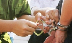 Khởi tố Tổng giám đốc Công ty Công viên cây xanh Hà Nội vì nâng khống giá cây