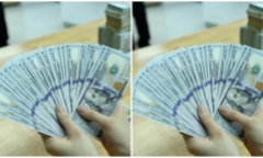 Tỷ giá USD hôm nay 11/9: Đồng xanh dự báo tăng nhẹ