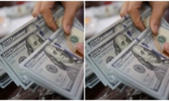 Tỷ giá USD hôm nay 31/10: USD các sàn đồng loạt giảm