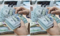 Tỷ giá USD hôm nay 29/11: Tiếp đà giảm sâu trên các thị trường