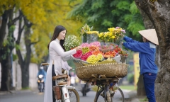 Nghiên cứu đưa môn 