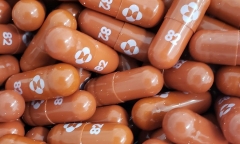 Thuốc Molnupiravir có thể hiệu quả với nhiều loại biến thể của SARS-CoV-2, kể cả Delta