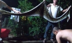Bắt được trăn 