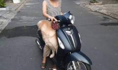 Lái xe máy chở