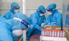 Trưa 24/8: Hà Nội phát hiện 51 ca dương tính SARS-CoV-2