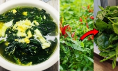 Thứ trên cây ớt tưởng bỏ đi, hóa ra chứa lượng canxi 