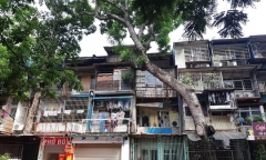 Hà Nội lập quy hoạch cải tạo xây dựng khu tập thể  