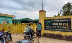 Quảng Nam: Nữ công nhân tử vong vì bị cuốn vào đường chuyền nhà máy
