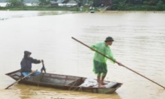 Tin thời sự mới nóng nhất 10/9: Người dân ngoại thành Hà Nội ra đường bắt cá trong nước lũ