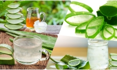 Những công dụng “thần kỳ” mà nước ép nha đam mang lại